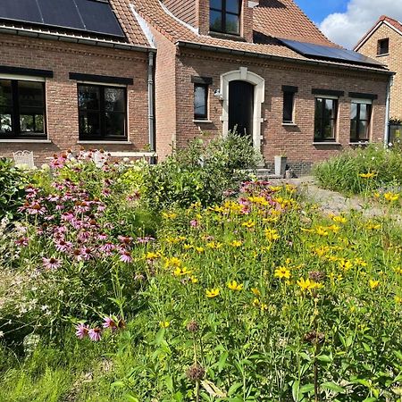 B&B Den Biesthoek Grimbergen Exteriör bild