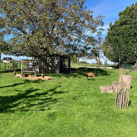 B&B Den Biesthoek Grimbergen Exteriör bild