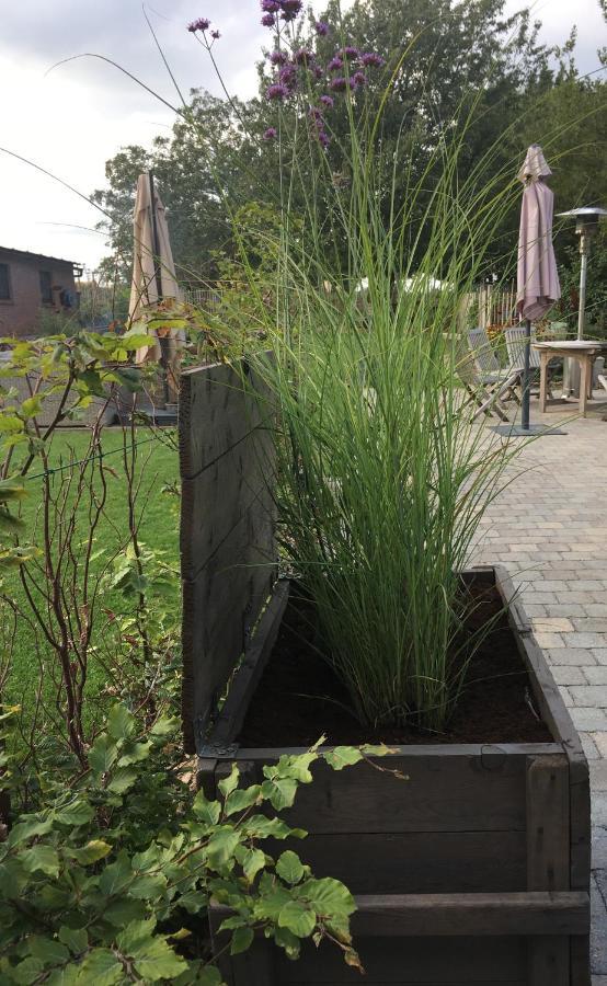 B&B Den Biesthoek Grimbergen Exteriör bild