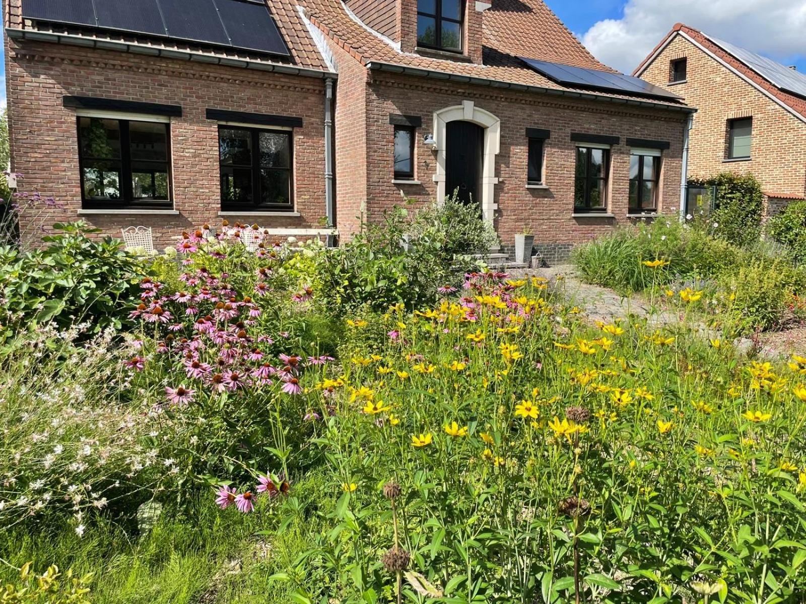 B&B Den Biesthoek Grimbergen Exteriör bild
