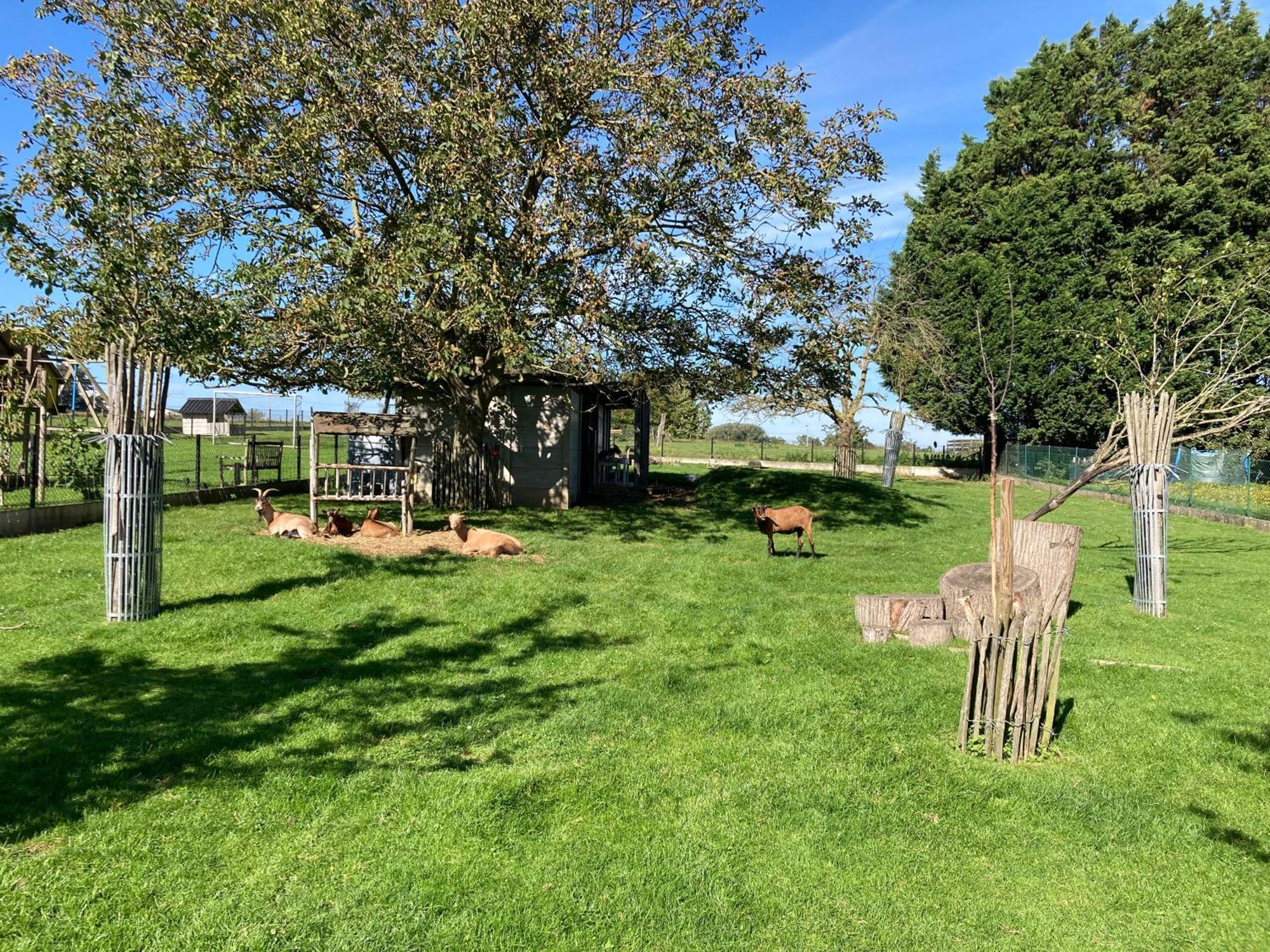 B&B Den Biesthoek Grimbergen Exteriör bild